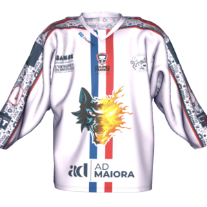 MAILLOT COUPE DE FRANCE EXTERIEUR 25-26