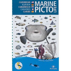 PICTOLIFE CARAIBES