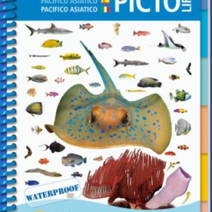PICTOLIFE PACIFIQUE ASIATIQUE