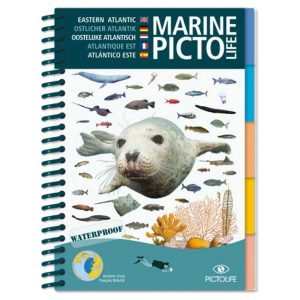 PICTOLIFE ATLANTIQUE EST