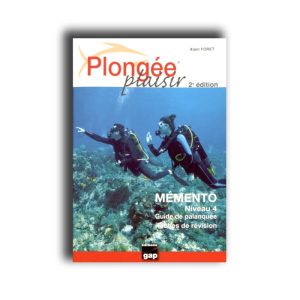 MEMENTO NIVEAU 4 GAP