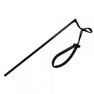 DNVHYEUU2591.jpg POINTEUR COULEUR AVEC DRAGONNE SPD