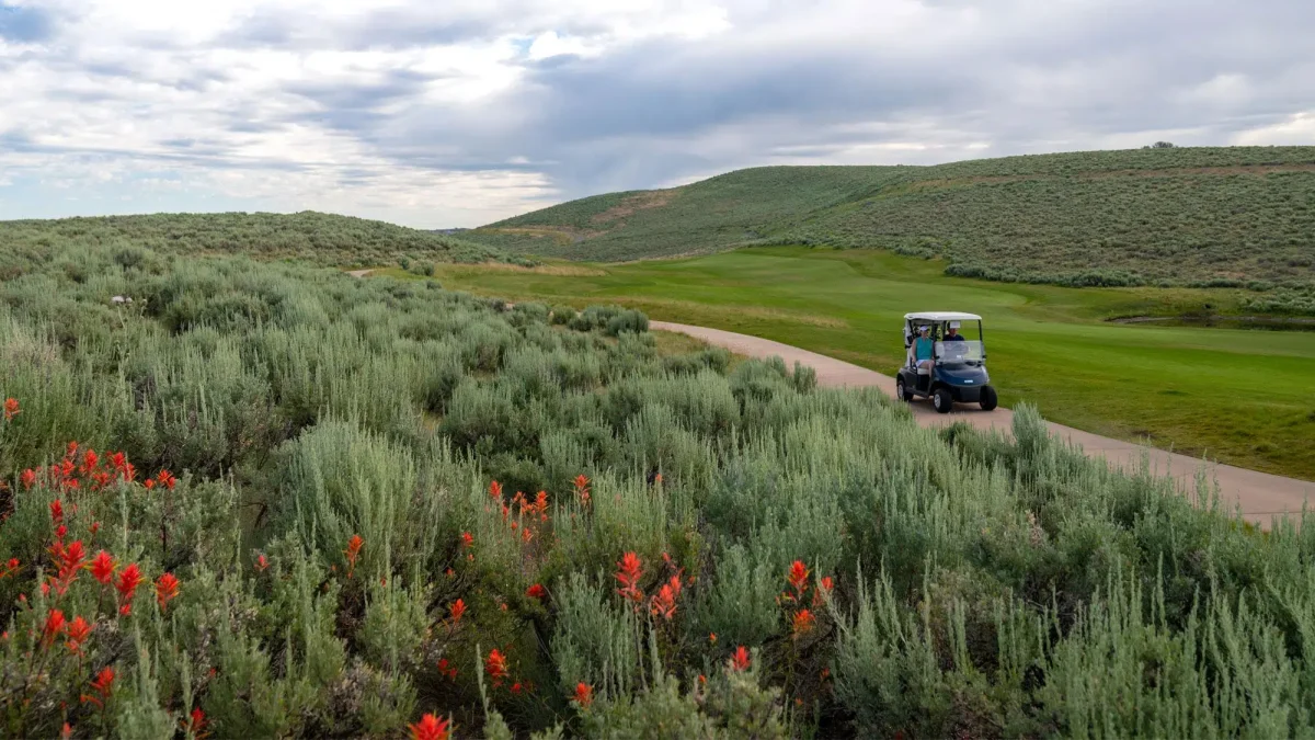 E-Z-GO RXV Elite Lithium – Image 3