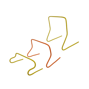 HAIE DE VÉLOCITÉ (20, 40, 60CM )